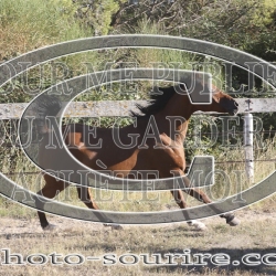 2025-©photo-sourire.com-CALIS-SHARON-1018