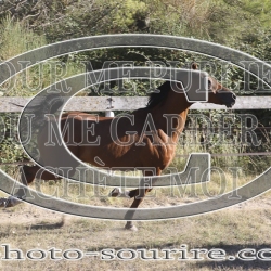 2025-©photo-sourire.com-CALIS-SHARON-1019