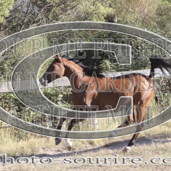 2025-©photo-sourire.com-CALIS-SHARON-1020