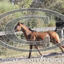 2025-©photo-sourire.com-CALIS-SHARON-1021