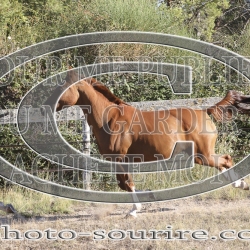 2025-©photo-sourire.com-CALIS-SHARON-1022