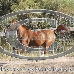 2025-©photo-sourire.com-CALIS-SHARON-1023