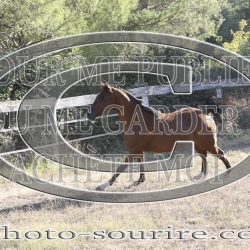 2025-©photo-sourire.com-CALIS-SHARON-1024