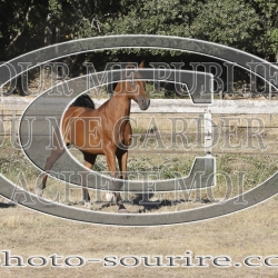 2025-©photo-sourire.com-CALIS-SHARON-1025