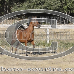 2025-©photo-sourire.com-CALIS-SHARON-1026