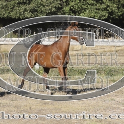 2025-©photo-sourire.com-CALIS-SHARON-1027