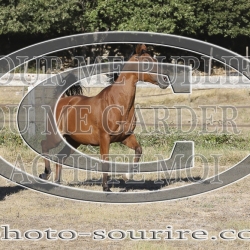 2025-©photo-sourire.com-CALIS-SHARON-1028