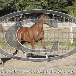 2025-©photo-sourire.com-CALIS-SHARON-1029