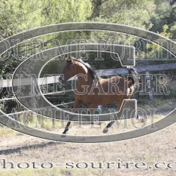 2025-©photo-sourire.com-CALIS-SHARON-1030