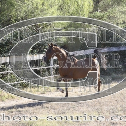 2025-©photo-sourire.com-CALIS-SHARON-1031