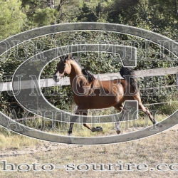 2025-©photo-sourire.com-CALIS-SHARON-1033