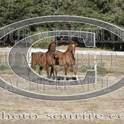 2025-©photo-sourire.com-CALIS-SHARON-1034