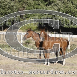 2025-©photo-sourire.com-CALIS-SHARON-1035