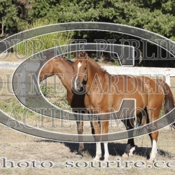 2025-©photo-sourire.com-CALIS-SHARON-1036