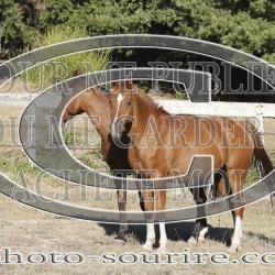 2025-©photo-sourire.com-CALIS-SHARON-1037