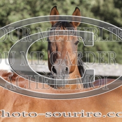 2025-©photo-sourire.com-CALIS-SHARON-1038