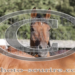 2025-©photo-sourire.com-CALIS-SHARON-1039