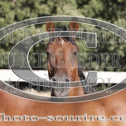 2025-©photo-sourire.com-CALIS-SHARON-1040