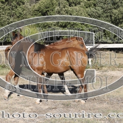 2025-©photo-sourire.com-CALIS-SHARON-1041