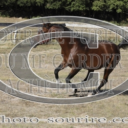 2025-©photo-sourire.com-COKTAIL-1000