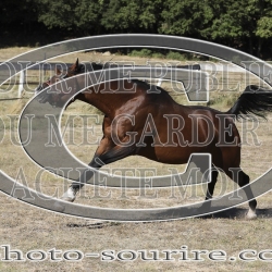 2025-©photo-sourire.com-COKTAIL-1001