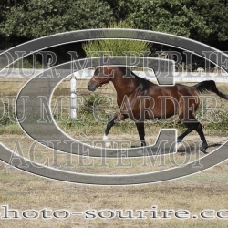 2025-©photo-sourire.com-COKTAIL-1002