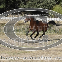 2025-©photo-sourire.com-COKTAIL-1003