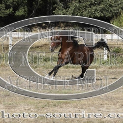 2025-©photo-sourire.com-COKTAIL-1004