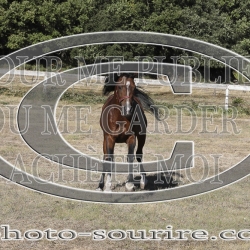 2025-©photo-sourire.com-COKTAIL-1005