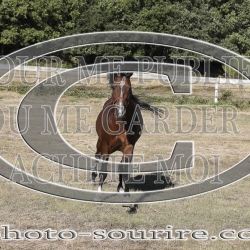 2025-©photo-sourire.com-COKTAIL-1006