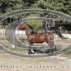 2025-©photo-sourire.com-COKTAIL-1007