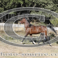 2025-©photo-sourire.com-COKTAIL-1008