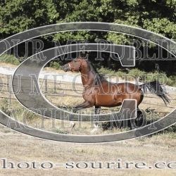 2025-©photo-sourire.com-COKTAIL-1010