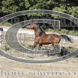 2025-©photo-sourire.com-COKTAIL-1011