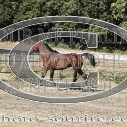 2025-©photo-sourire.com-COKTAIL-1012