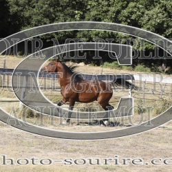 2025-©photo-sourire.com-COKTAIL-1013