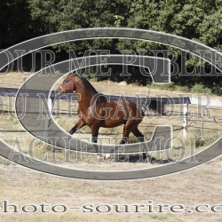 2025-©photo-sourire.com-COKTAIL-1014