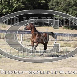 2025-©photo-sourire.com-COKTAIL-1016