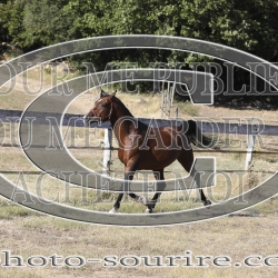 2025-©photo-sourire.com-COKTAIL-1018