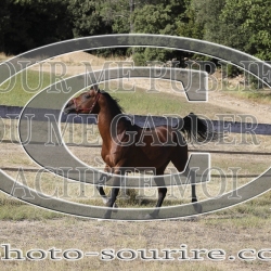 2025-©photo-sourire.com-COKTAIL-1019