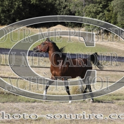 2025-©photo-sourire.com-COKTAIL-1020