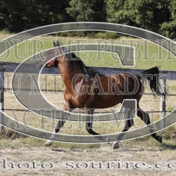 2025-©photo-sourire.com-COKTAIL-1021