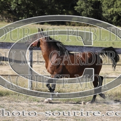 2025-©photo-sourire.com-COKTAIL-1022