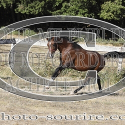 2025-©photo-sourire.com-COKTAIL-1023