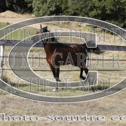 2025-©photo-sourire.com-COKTAIL-1024