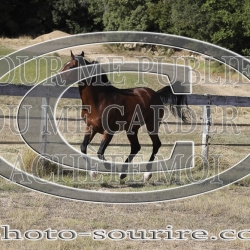 2025-©photo-sourire.com-COKTAIL-1025