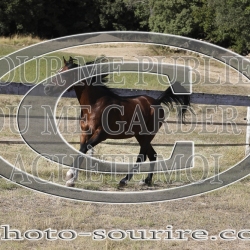 2025-©photo-sourire.com-COKTAIL-1026