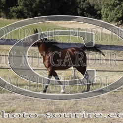 2025-©photo-sourire.com-COKTAIL-1027