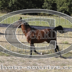 2025-©photo-sourire.com-COKTAIL-1028