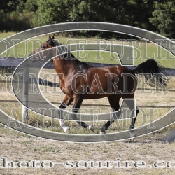 2025-©photo-sourire.com-COKTAIL-1029